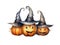 Cute halloween pumpkin watercolor style. Halloween pumpkins wearing witch hat,
