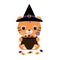 Cute Halloween tiger in witch hat holding a pot with candies. Cartoon animal character for kids t-shirts, nursery