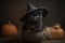 A cute halloween witches black cat wearing a witch hat. Generative ai