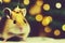 Cute hamster with christmas gift. ai generated. Hamster celebrating christmas. Christmas hamster