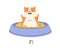 Cute hamster demonstrating English preposition of place by sitting in bowl with food. Funny animal and inscription