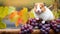Cute Hamster Harvesting Grapes in Calm Autumn AI Generated