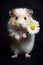 Cute hamster holding a spring flower. Generative AI