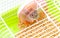 Cute hamster sitting in a cage and looking through the lattice cells