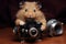 Cute hamster with small photo camera