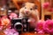 Cute hamster with small photo camera