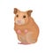 Cute hamster small rodent animal vector Illustration on a white background