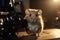 A cute hamster stands upright and looks excitedly into the camera created with generative AI technology