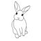 Cute hand draw little bunny rabbit with curious face