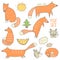 Cute hand drawn doodle fox and forest objects collection