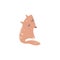 Cute hand drawn fox illustration, nice animal, forest inhabitant. Isolated vector