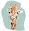 Cute hand drawn giraffe illustration