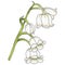 Cute hand drawn isolated grey outline with color plane of lily of the valley branch (Vol.3