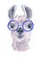 Cute hand drawn llama in bright glasses. Funny animal. Woolen Alpaca from Mexico. Travel