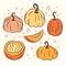 Cute Hand Drawn of Pumpkin collection.