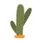 Cute hand drawn saguaro cactus from Mexico or Wild West desert. Vector simple cacti flower with thorns in cartoon style