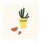 Cute hand drawn tiny potted cactus flower with watermelon and strawberry