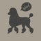 Cute hand drawn vintage walking poodle dog with speech bubble il