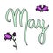 Cute hand written illustration. Vector month May illustration campanula. Hand drawing violet bluebells. Spring art style lettering