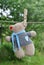 Cute handmade teddy bear in the clothesline