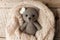 Cute handmade toy0bear in woolen blanket, sleepy morning, Fall autumn weekend. Monochrome hygge cozy concept