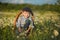 Cute handsome boy wearing jeans and shirt sitting on wooden chair on meadow of chamomiles daisy and smiling enjoying summer day in