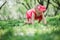 Cute happy baby girl in funny pink romper walking outdoor in spring garden