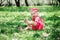 Cute happy baby girl in funny pink romper walking outdoor in spring garden