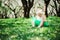 Cute happy baby girl in green tutu skirt walking outdoor in spring garden