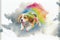 Cute happy Beagle puppy pet dog portrait