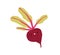 Cute happy beetroot character. Funny comic vegetable. Kawaii food emoji with smiling face emotion, expression, mood