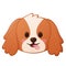 Cute happy cartoon cavalier king charles spaniel dog