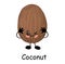 Cute happy cartoon coconut with a cheesy grin and its tongue protruding and arms with a second plain variant with no face and