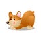 Cute happy corgi dog make morning exercise