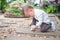 Cute happy & curious little Asian 1 year / 18 months old toddler baby boy child sitting on in the beautiful flowers garden holding