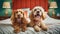 Cute happy dogs at pet friendly hotel, holidays trip with pet concept. Generative AI