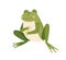 Cute happy frog sitting, holding paws on full tummy. Funny well-fed froglet. Childish colored flat vector illustration