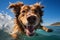 cute happy funny pretty beautiful dogs puppy doggy pet best friend swimming in pool or sea, wear sunglasses, water laps