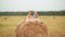 Cute happy girls with book sitting on haystack in field