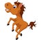 Cute Happy horse cartoon