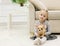 Cute happy little casual girl embracing teddy bear sharing secrets with her favorite toy friend on close up photo.