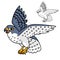 Cute Happy Peregrine Falcon Flying with Line Art Drawing