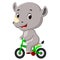 Cute happy rhino cycling
