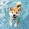 cute happy Shiba Inu dog swimming in pool. ai generative