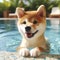 cute happy Shiba Inu dog swimming in pool. ai generative