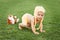 Cute happy smiling little baby girl in yellow clothing and funny