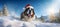 A cute happy St. Bernard dog with a Santa\\\'s hat on running, jumping in the deep snow, daytime in the winter woods