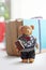 Cute Happy Teddy Bear with book Ceramic Models