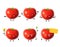 Cute happy tomato vegetable bundle set. Cartoon character illustration design with hand drawing graphic elements. Isolated on whit