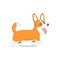 Cute happy vector corgi dog walks on white background. Baby vector illustration.